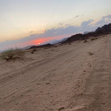Wadirum Zeid Camp&Tours 瓦迪拉姆 外观 照片