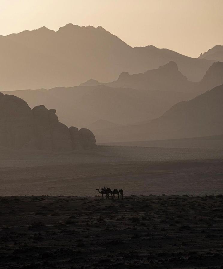 Wadirum Zeid Camp&Tours 瓦迪拉姆 外观 照片