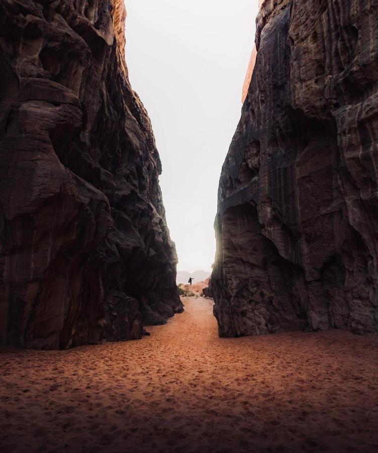 Wadirum Zeid Camp&Tours 瓦迪拉姆 外观 照片
