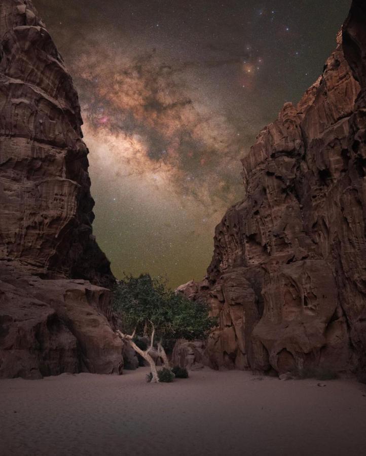 Wadirum Zeid Camp&Tours 瓦迪拉姆 外观 照片
