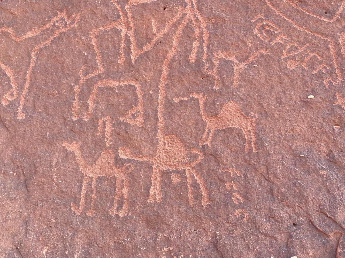Wadirum Zeid Camp&Tours 瓦迪拉姆 外观 照片