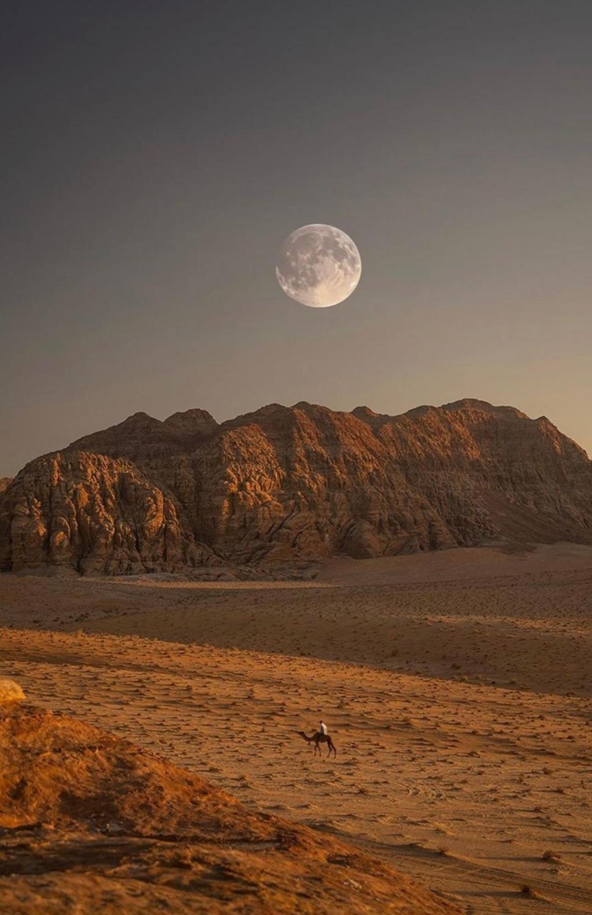 Wadirum Zeid Camp&Tours 瓦迪拉姆 外观 照片