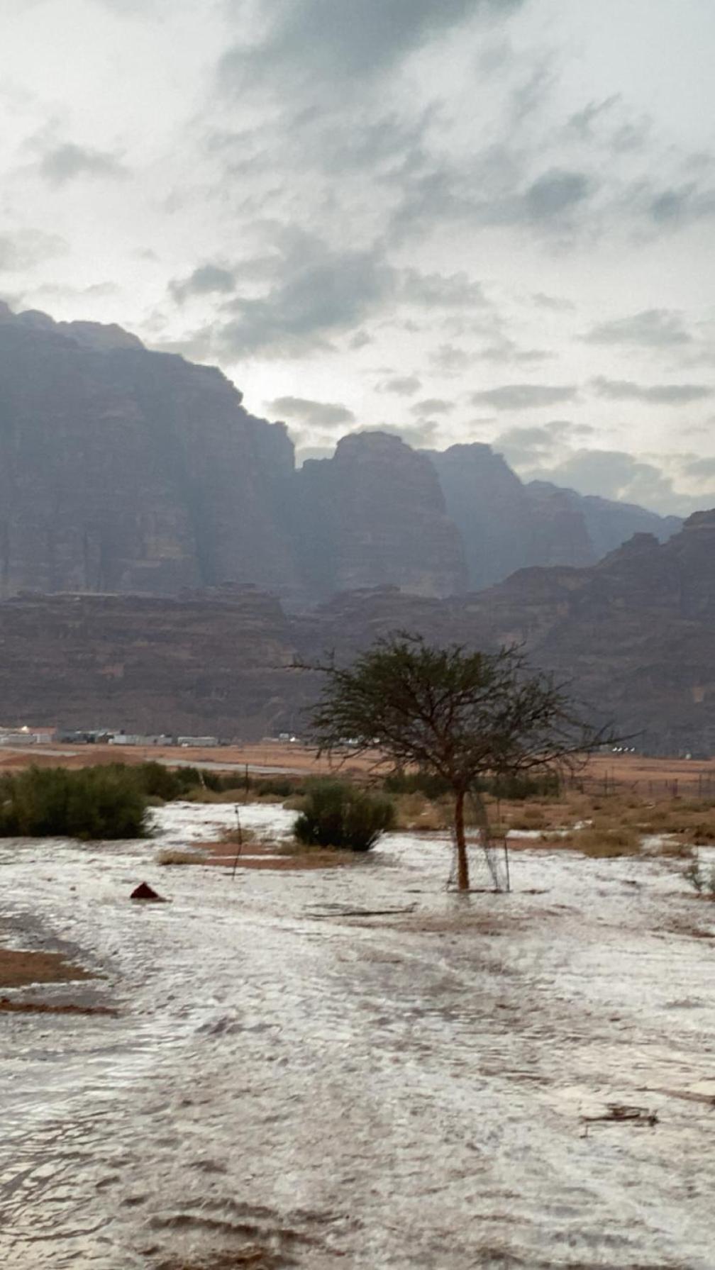 Wadirum Zeid Camp&Tours 瓦迪拉姆 外观 照片
