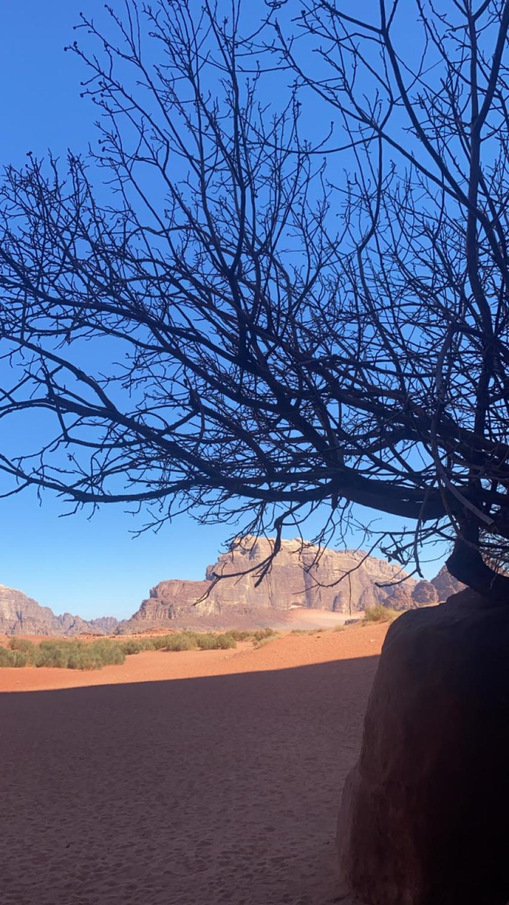 Wadirum Zeid Camp&Tours 瓦迪拉姆 外观 照片